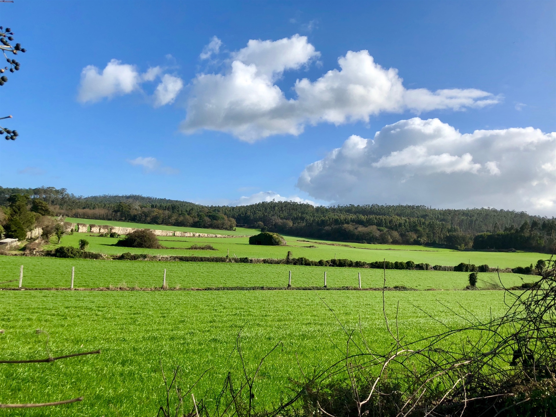 Loteamento , Junqueira