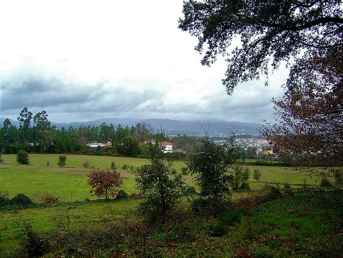 Loteamento , Mire de Tibães