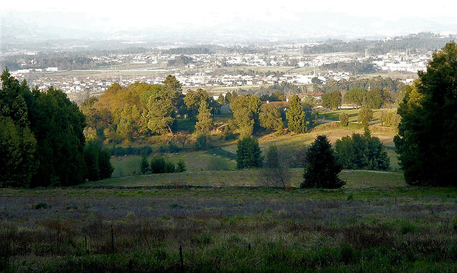 Loteamento , Mire de Tibães