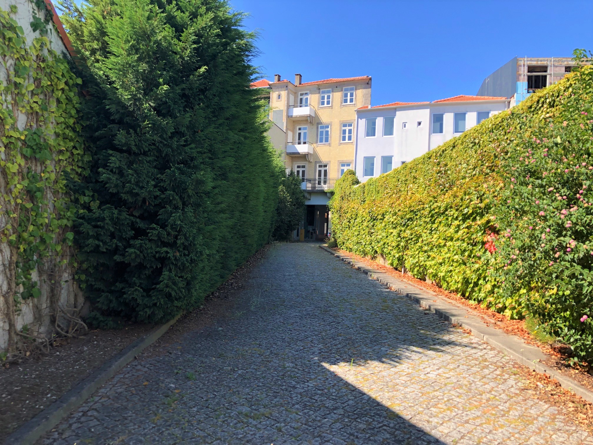 Escritório , Campanhã