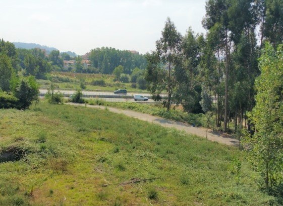 Terreno Urbano , Canelas